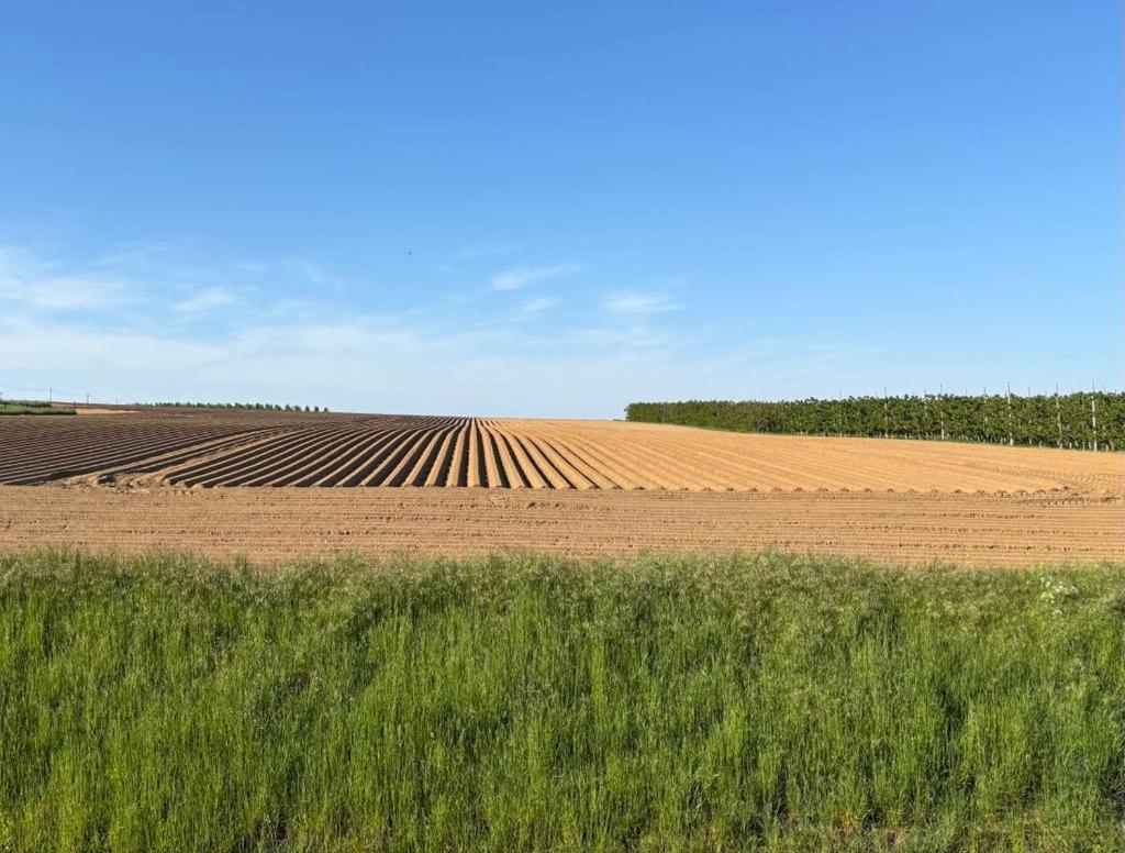 Gastenverblijf Chambre Damis - Geniet Van Haspengouw, Buiten En Binnen! Heers Luaran gambar